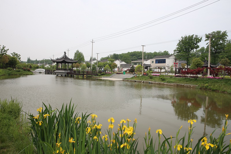 江蘇丹陽三個自然村獲“美麗鄉(xiāng)村”稱號【3】