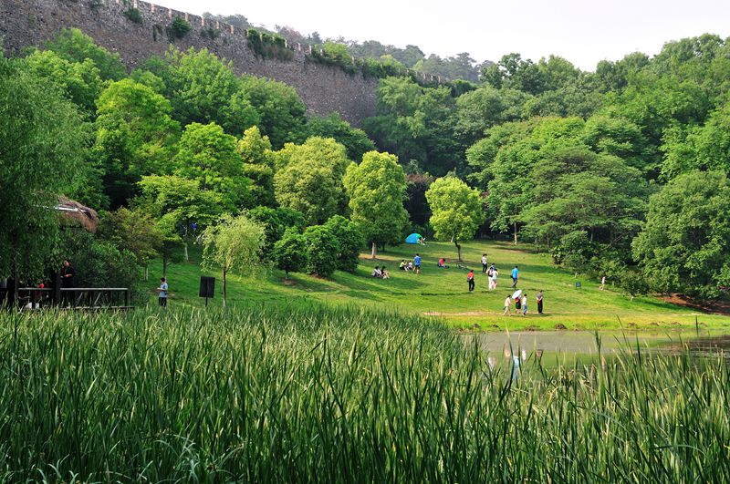 �����ô��