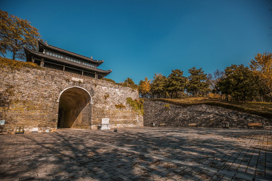 ����ƽ�T��