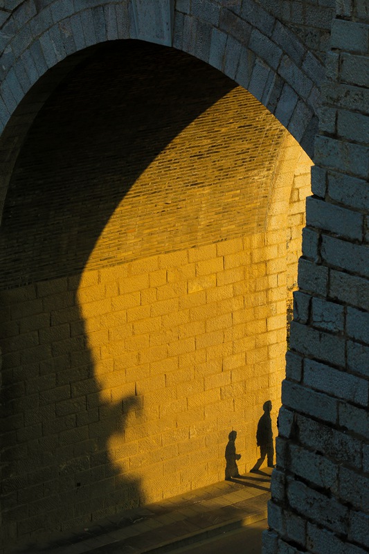 �����T���Ĺ��¡�