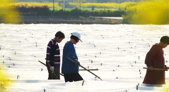 �������顤�D�f���K����һ���@�U��æ�D