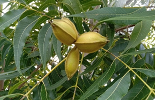 �����^(q��)���̸����@���߳�һ�lÓؚ·