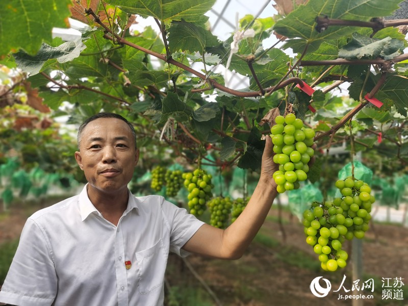 ��ͨ�г紨�^(q��)��(j��ng)��(j��)�_(k��i)�l(f��)�^(q��)��������^(q��)�hί��(sh��)ӛ����˼��B�����˿Ƽ��@���ѷNֲ��r��ӛ�����^���z