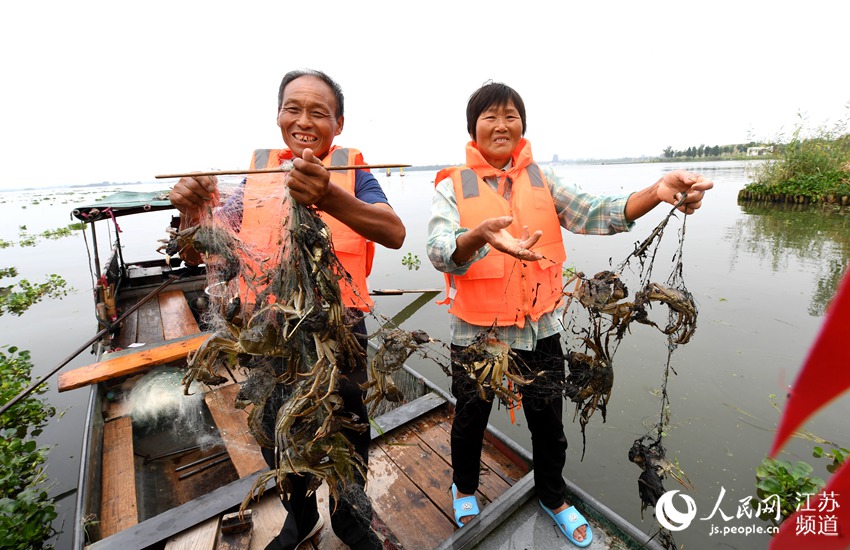 �վW(w��ng)������һֻֻ�����Ĵ��lз������צ���@��2020�Ї�(gu��)���}����v�����lз�_����(ji��)�ĬF(xi��n)��(ch��ng)���}���^(q��)ί���������D