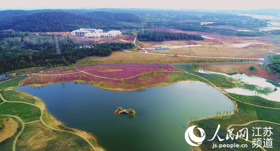 �D�顰Сéɽ����@�C���w��������z