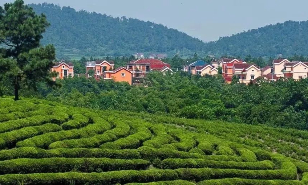 �Ͼ��ߴ��l(xi��ng)����