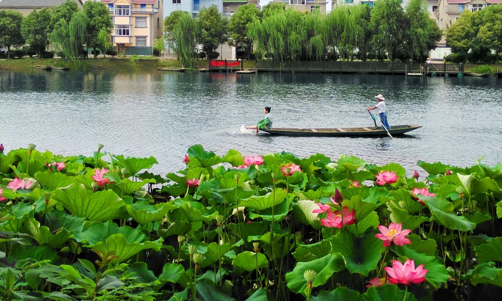 �Ͼ��ߴ��l(xi��ng)����