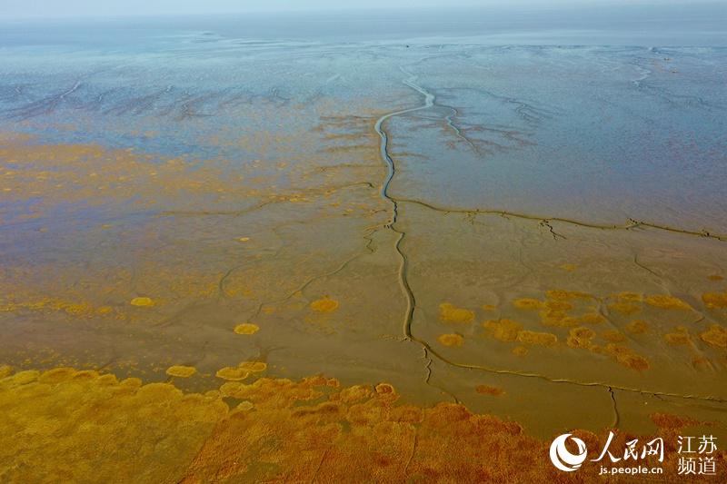 �S�����g����Ϳ�ں�ˮ�ě_ˢ�£��ʬF(xi��n)���I��ɭ�֡����^����|���z