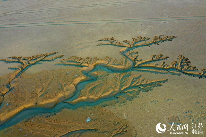 �S�����g����Ϳ�ں�ˮ�ě_ˢ�����ʬF(xi��n)���I��ɭ�֡����^����|���z