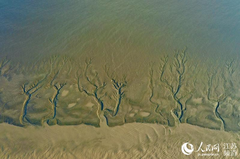 �S�����g����Ϳ�ں�ˮ�ě_ˢ�����ʬF(xi��n)���I��ɭ�֡����^����|���z