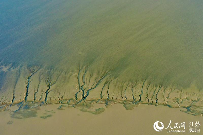 �S�����g����Ϳ�ں�ˮ�ě_ˢ�����ʬF(xi��n)���I��ɭ�֡����^����|���z