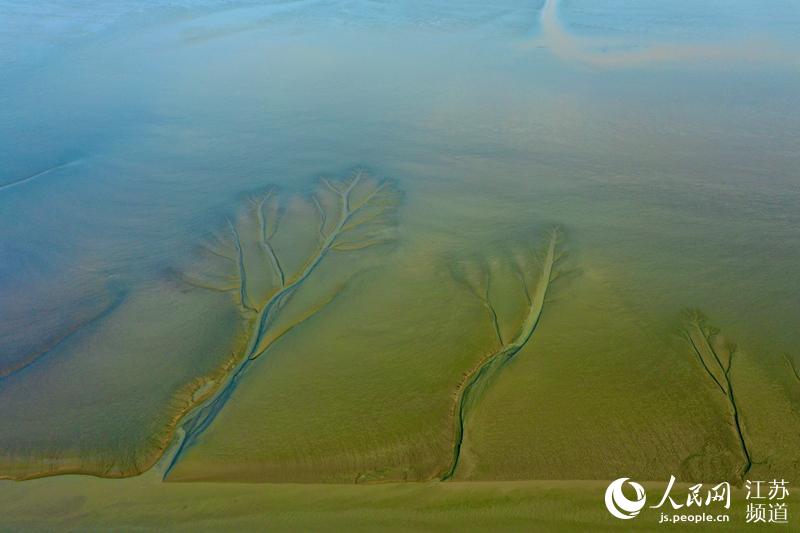 �S�����g����Ϳ�ں�ˮ�ě_ˢ�����ʬF(xi��n)���I��ɭ�֡����^����|���z