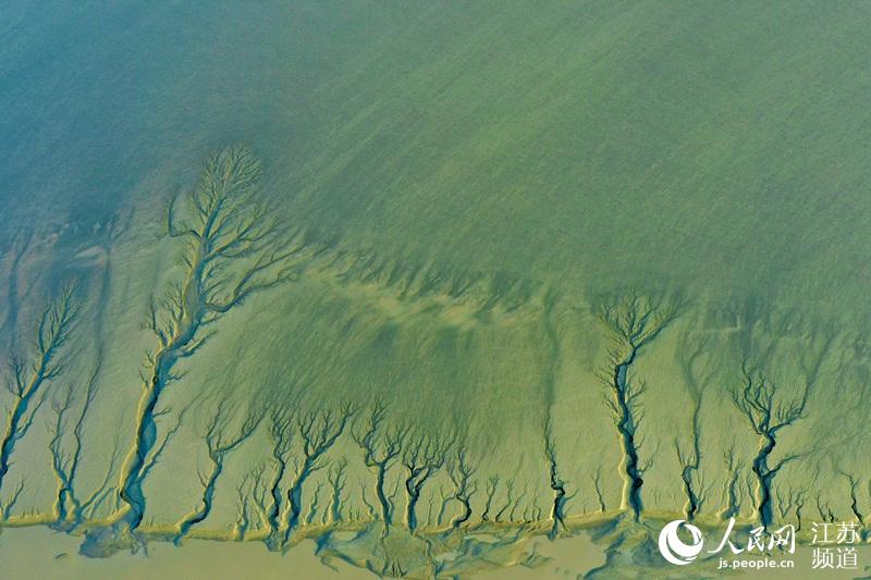 �S�����g����Ϳ�ں�ˮ�ě_ˢ�£��ʬF(xi��n)���I��ɭ�֡����^����|���z