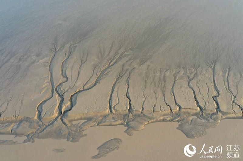 �S�����g����Ϳ�ں�ˮ�ě_ˢ�����ʬF(xi��n)���I��ɭ�֡����^����|���z