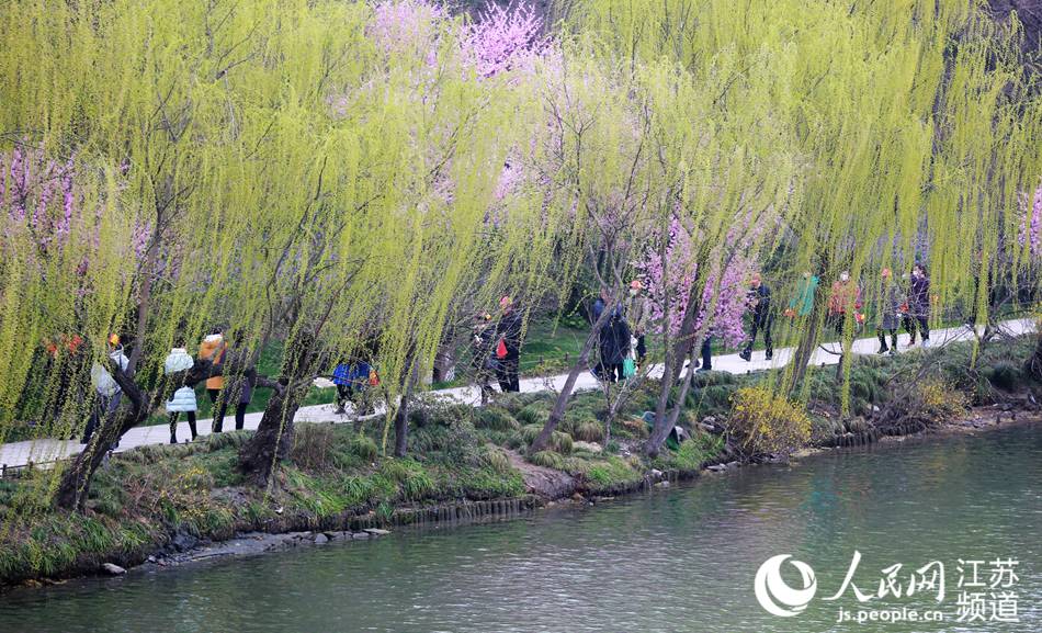 �����ο�ǰ��(l��i)̤���p�����ϵ����z