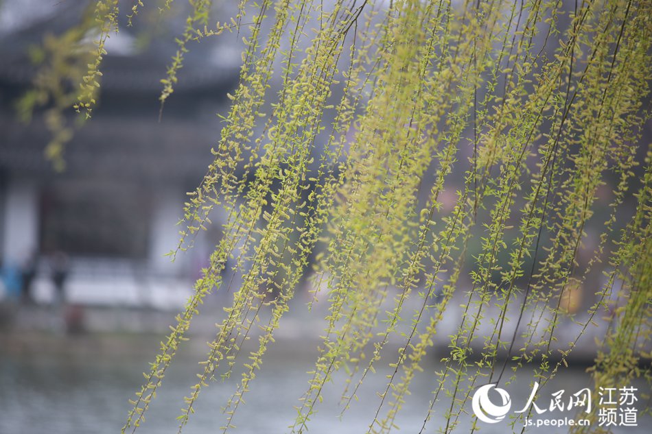 �����l(f��)ѿɢ�l(f��)���՚�Ϣ���ϵ����z