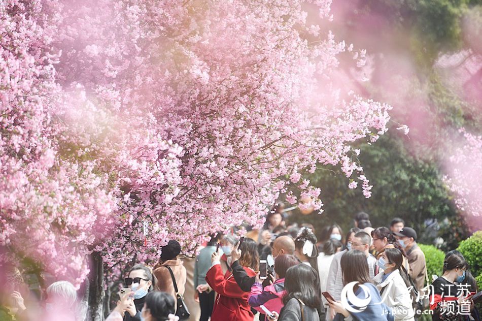 �����ľ�ɫ���S���Ļ��(d��ng)�������˱����ο���@���档 �����z