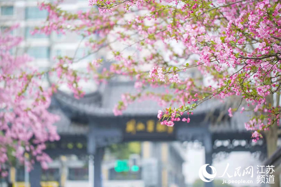 �Ͼ���Ī������[����