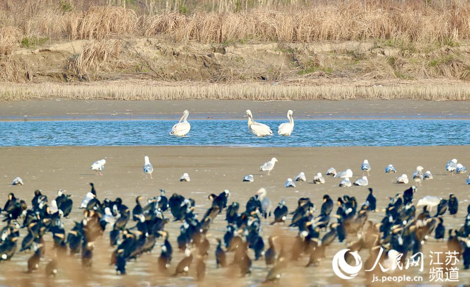 �lΣ�B����Y�����w�������K�l�����������|���z