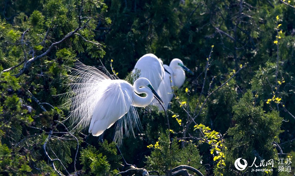 �ڽ��K����h��ɺ���ؾ��^(q��)�����������İ��������B�A�z