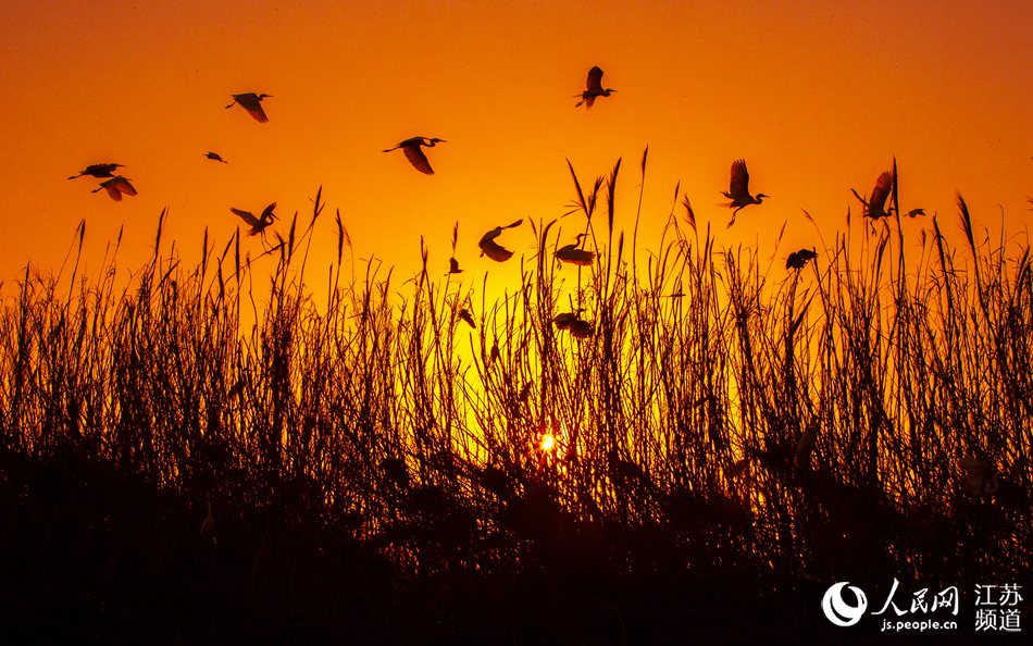 ������������Ⱥ�İ����P������������B�A�z