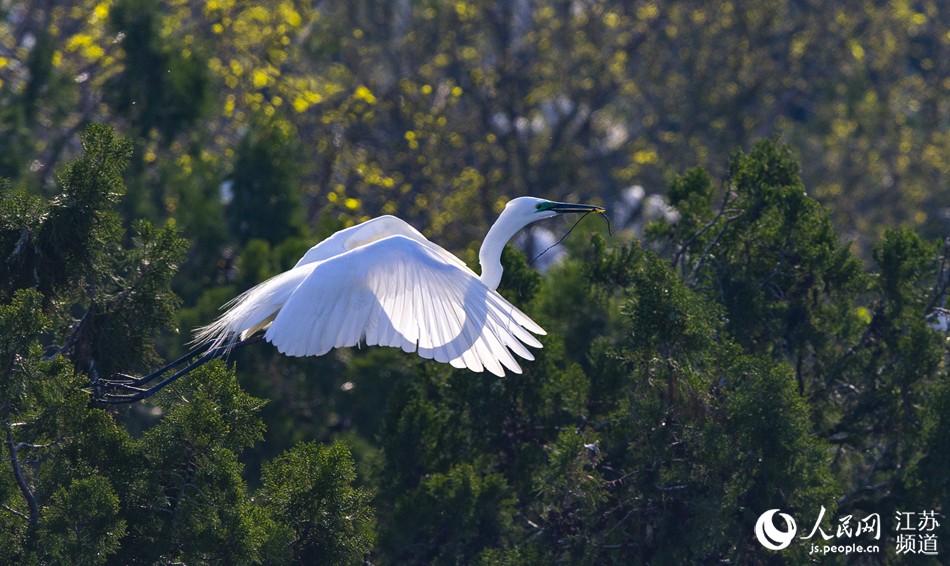 ���羫�`�İ�����ͤͤ��������������עĿ�����B�A�z