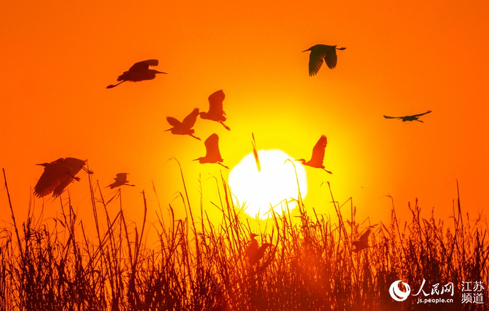 ������������Ⱥ�İ����P������������B�A�z