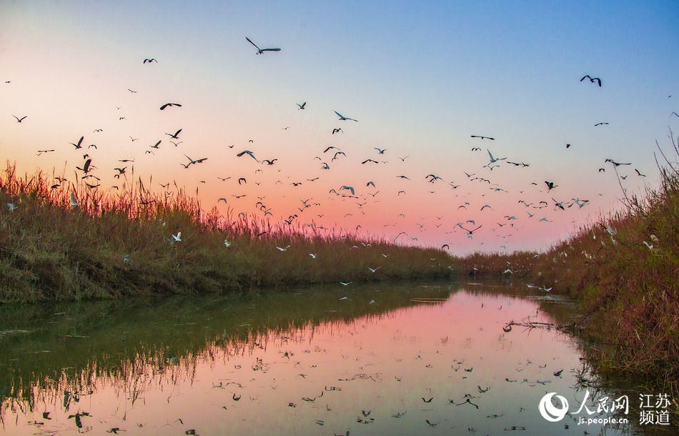 ��Ⱥ�İ����P������ա����B�A�z