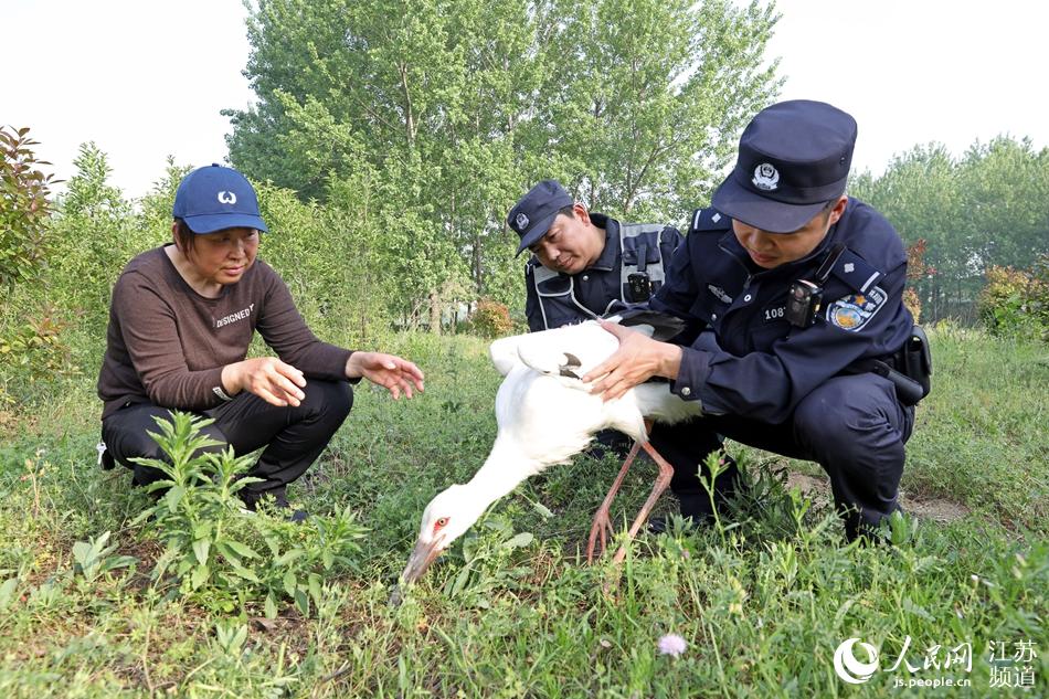 �񾯺��ּ��ˆT�s�����Ζ|�����X���򶬱��z