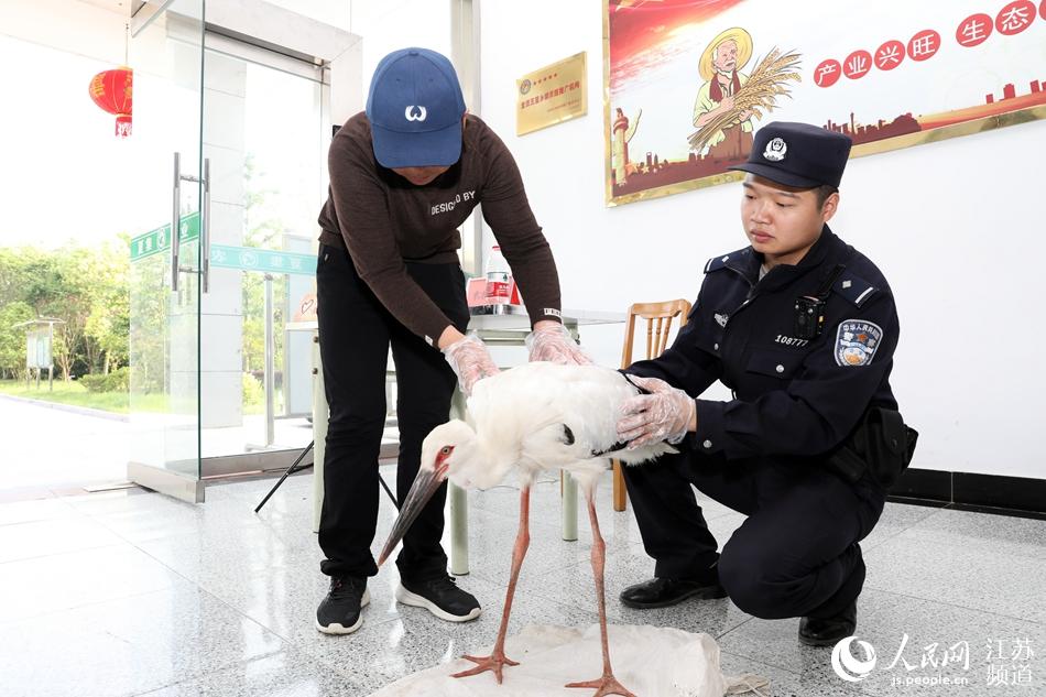 �þȺ�Ė|�����X����ֱ�����򶬱��z