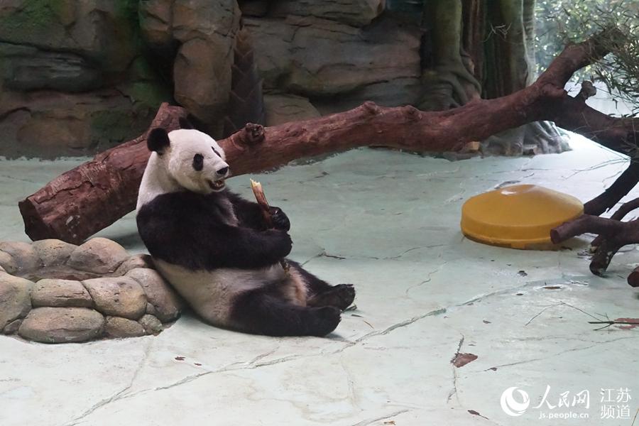 ���÷���� �Ͼ���ɽ�����׌��؈��Ȼ����