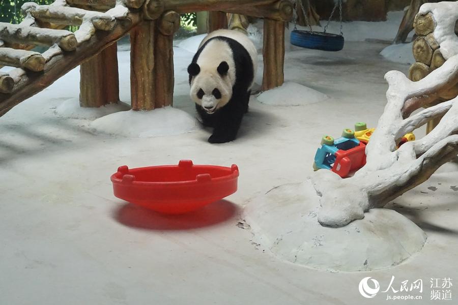 ���÷���� �Ͼ���ɽ�����׌��؈��Ȼ���ġ�2��