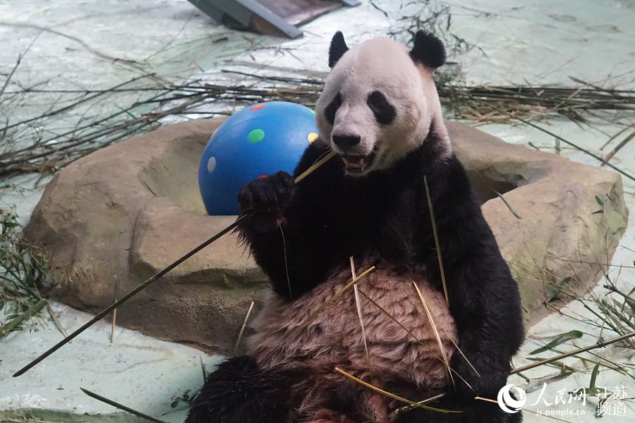 ���÷���� �Ͼ���ɽ�����׌��؈��Ȼ���ġ�3��