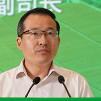 �����h���V��Ƽ�������Ҫ��Փ�Č�(xi��)�����(gu��)�Ĵ����