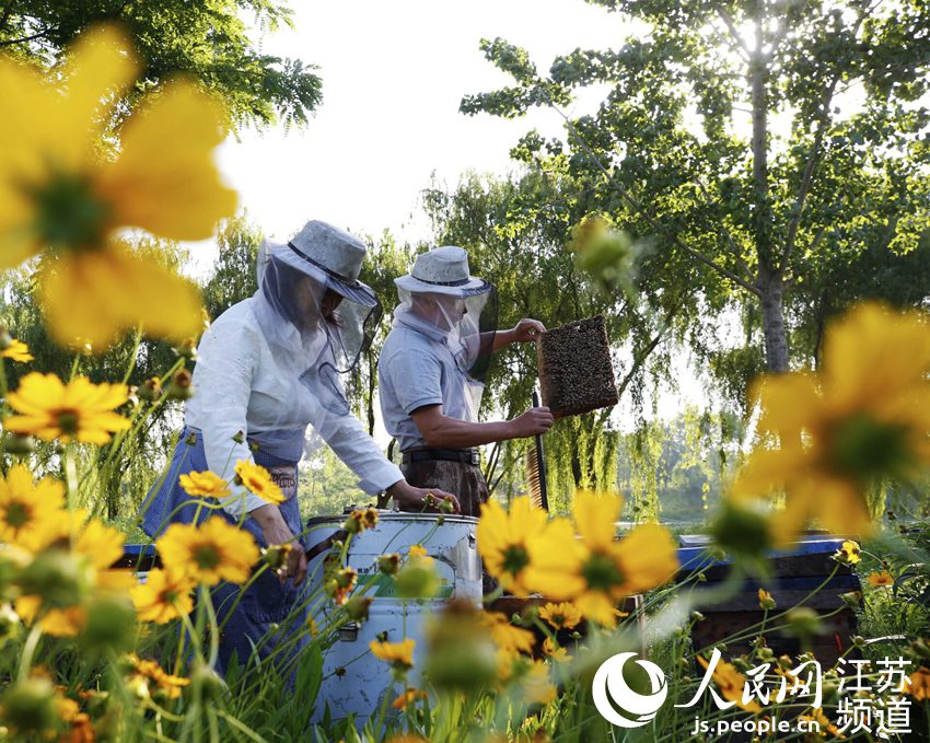 ���r(n��ng)�Oʿ���ͼ�����æµ�����S�����z