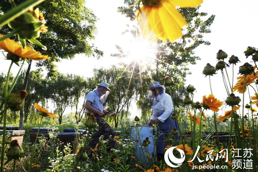 ���r(n��ng)�Oʿ���ͼ���æ���ŷ�������S�����z