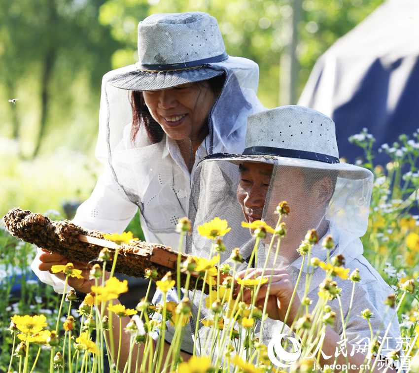 ���r(n��ng)�Oʿ���ͼ��˙z���۷�����L(zh��ng)��r���S�����z