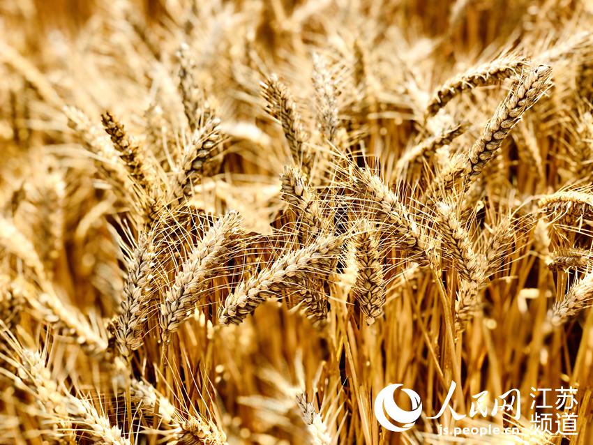 ����������ӭ��(l��i)��һ��(g��)�S�ռ�������W(w��ng) �Z��z