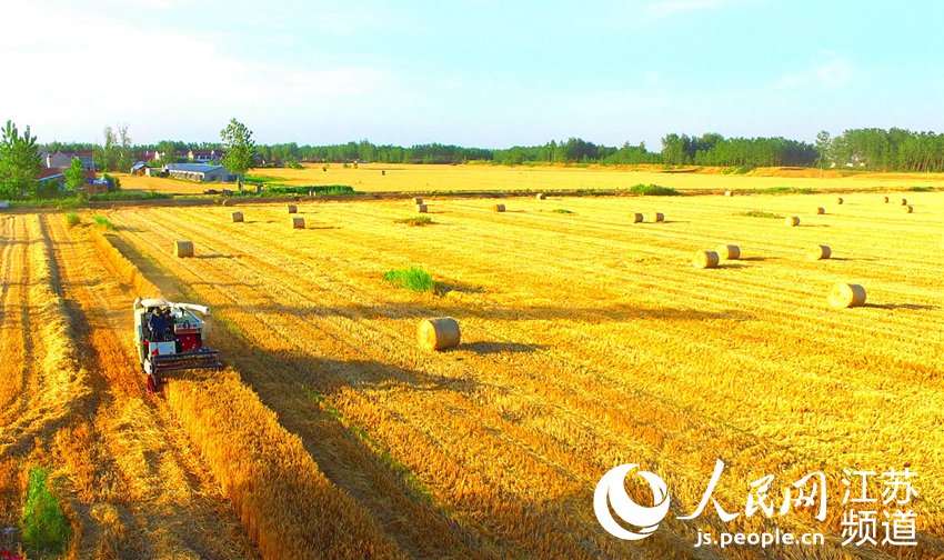 ������h����?zh��n)Ո������ʿ���z