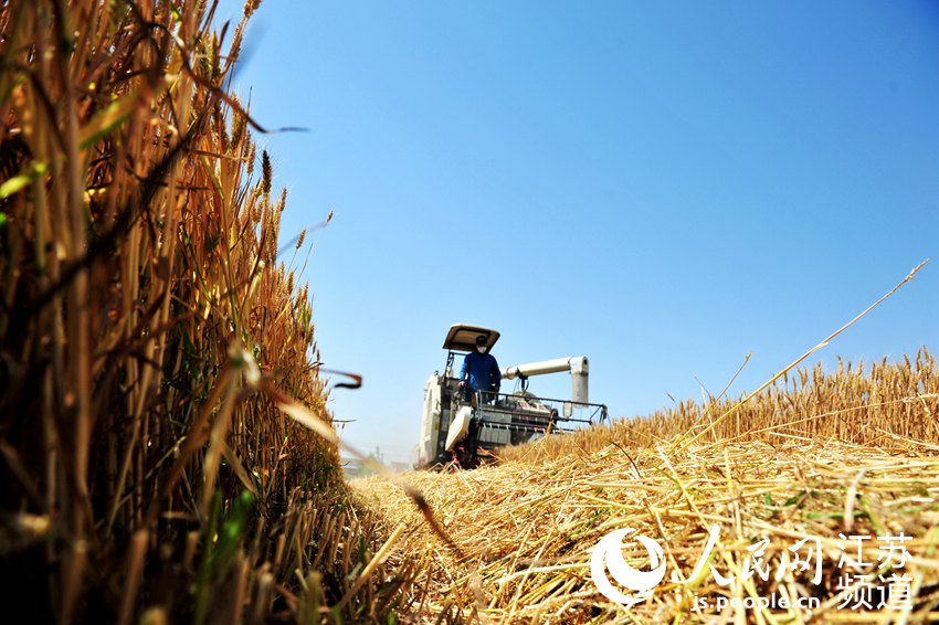 �����~ɽ�^(q��)С���Ӿo�ո������ǔz