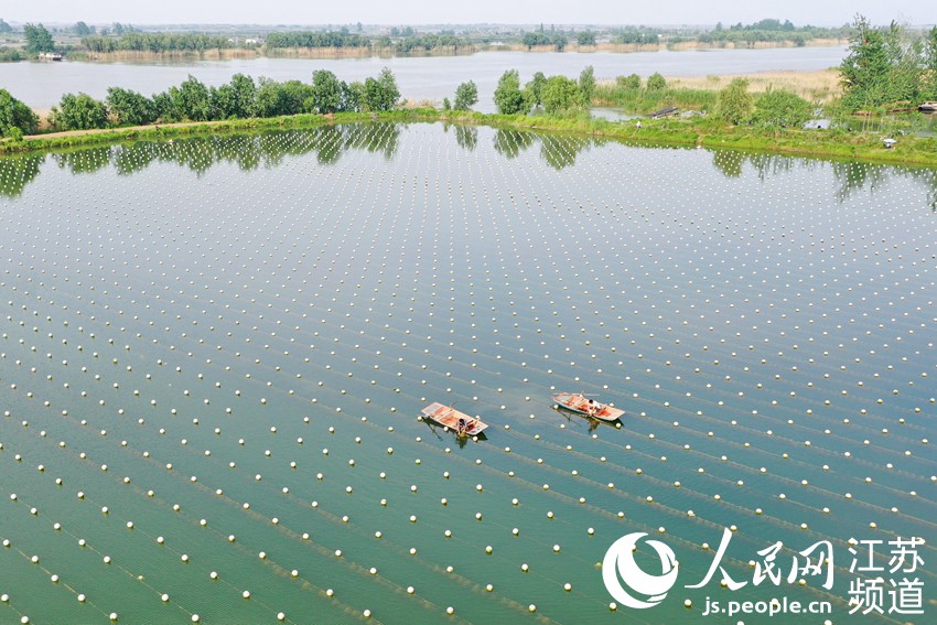 �����ի@��������󳱔z