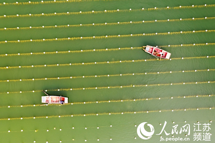 �����ի@��������󳱔z