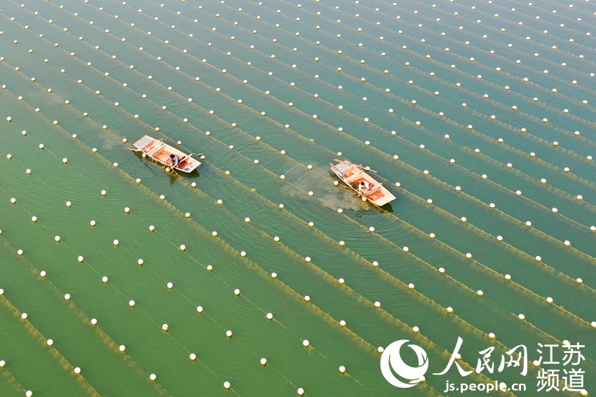 �����ի@��������󳱔z