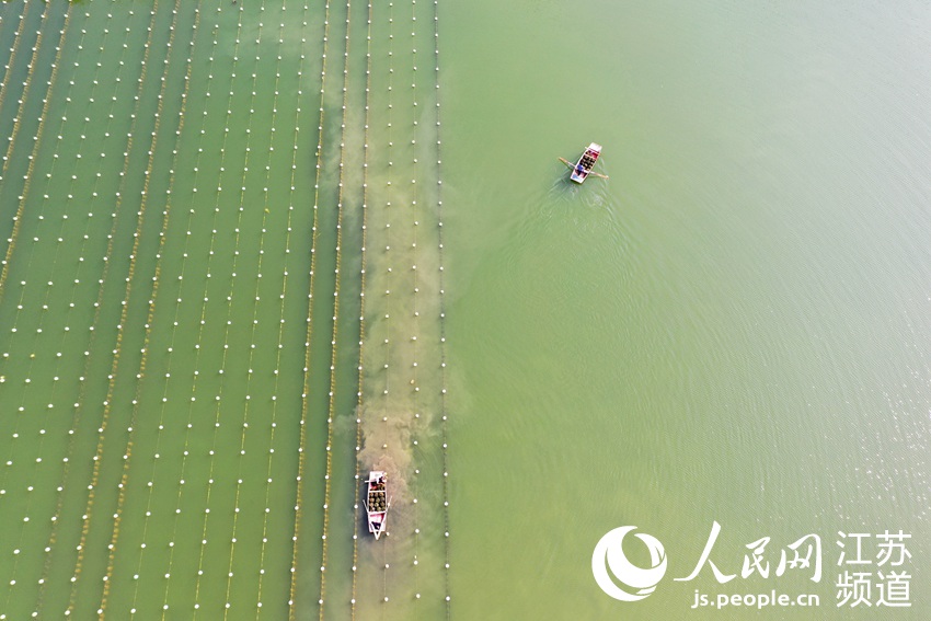 ���r(n��ng)���ի@��������󳱔z