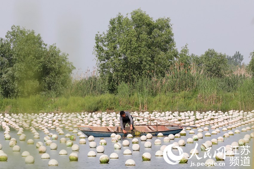 ���r(n��ng)���ի@��������󳱔z