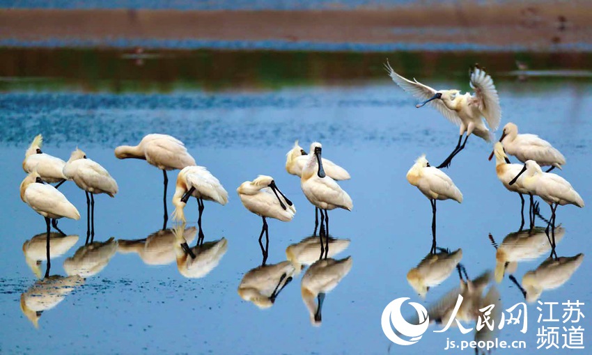 ��Ę��������|���z