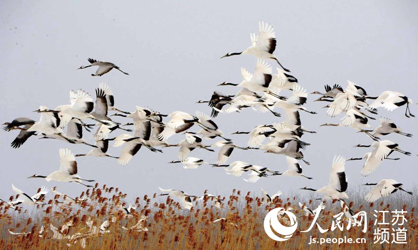 �Q����ꐇ�(gu��)�h(yu��n)�z