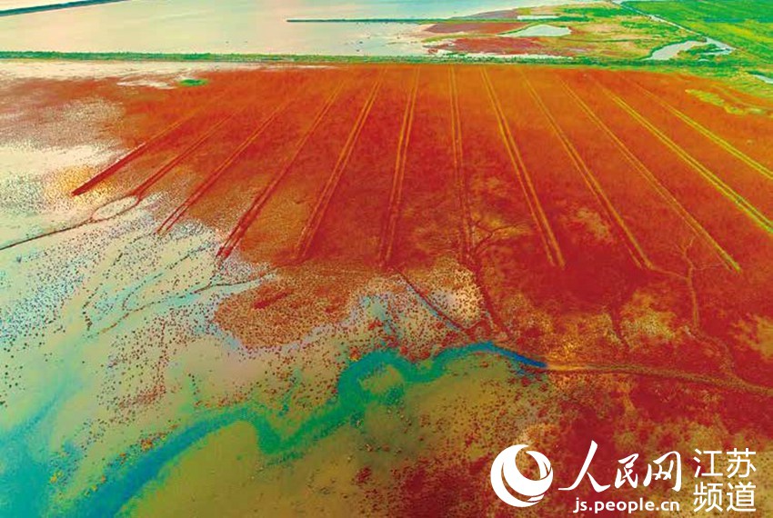 �|�_�l���� �����t��ֳ������|���z