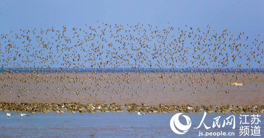 �B(ni��o)������|���z