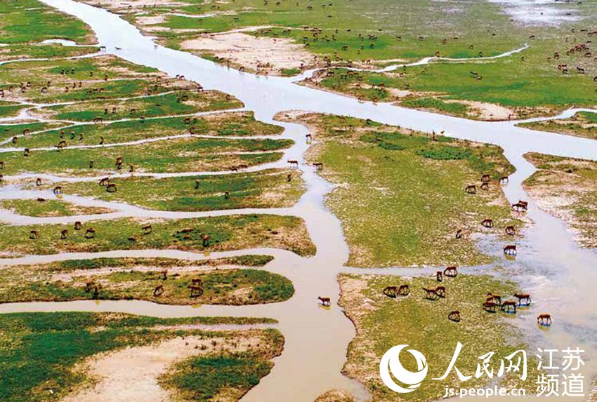 ��¹Ұ�Ņ^(q��)����|���z